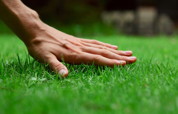 A Few Tips In Selecting A Lawn Treatment Company   