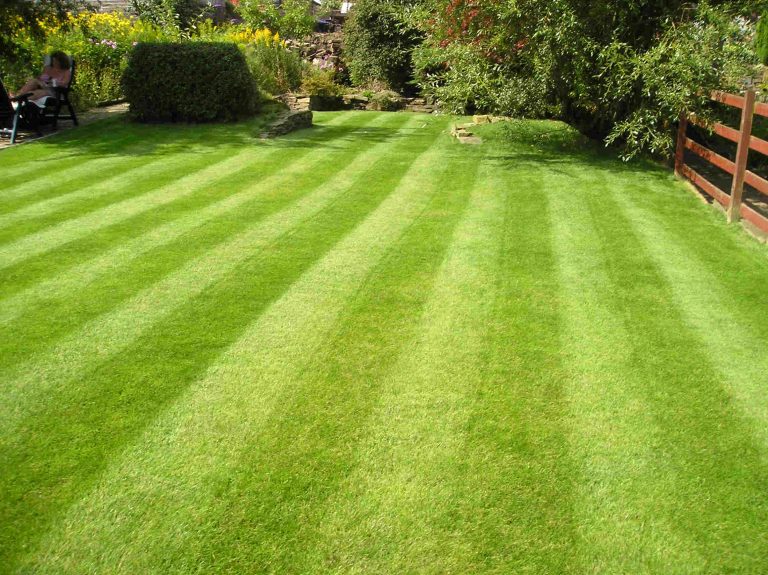 Discover the Power of a Well-Trimmed Lawn: Benefits Beyond Aesthetic Appeal