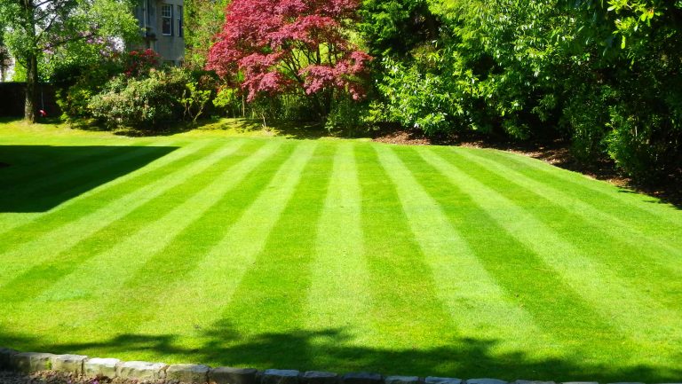 Lawn Treatment – Tips on How to Care For Your Lawn