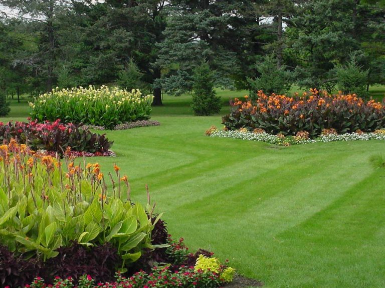 Lawn Landscape