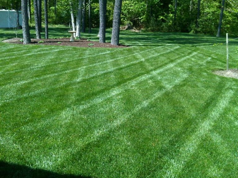 Lawn Service Prices – What’s Included   