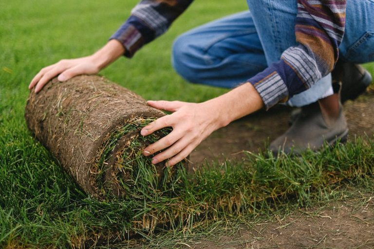 Landscaping Lawn