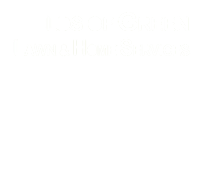 Fields of Green Lawn